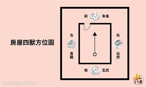 瓦斯爐在虎邊|【風水特輯】瓦斯爐放哪裡最好？有哪些禁忌？風水大。